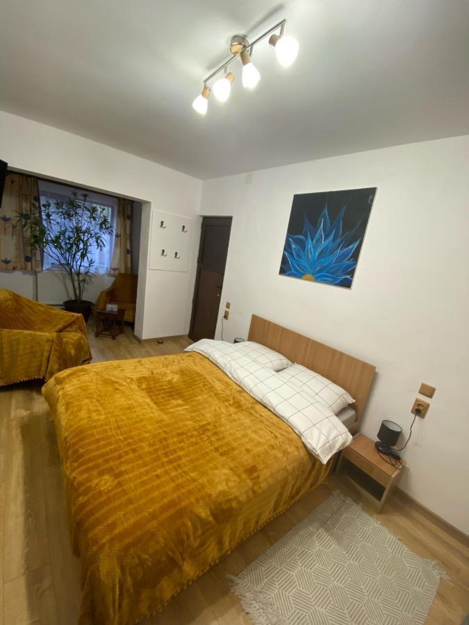 Casa Felice Hotel Brasov Luaran gambar